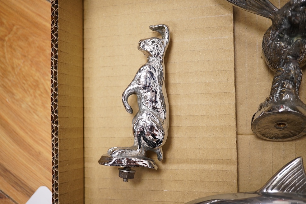 Five animal themed chrome and brass car mascots consisting of a giraffe mounted on a turned aluminium base, a hare, a bumblebee in flight, a leaping fish, and a scorpion. Condition - fair to good.